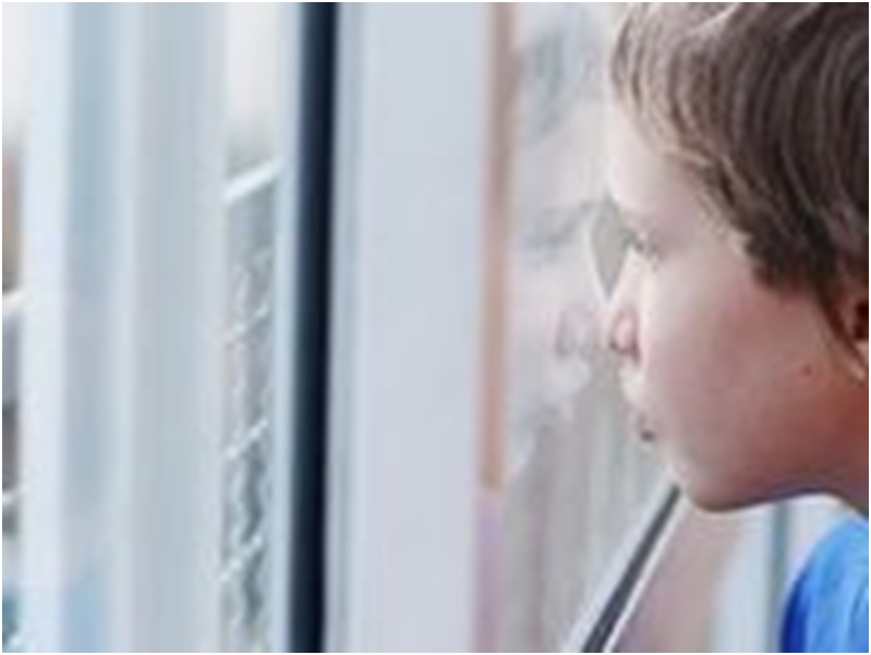 Brain 'Organoid' Study Hints at the Origins of Autism 