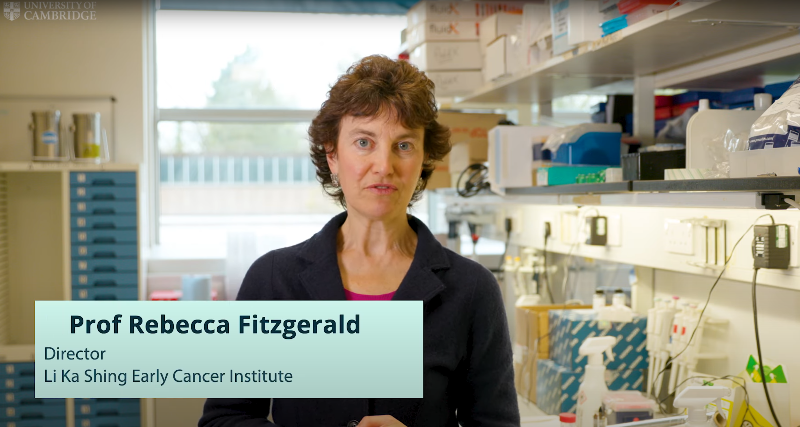 Inside the institute looking at early cancer