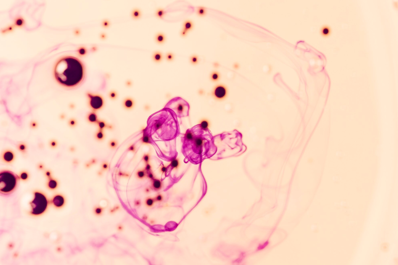 Patient-derived Organoids: Revolutionizing Cancer Research and Treatment
