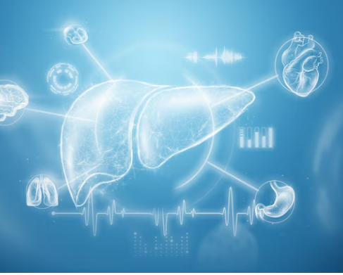 3D printed liver-like organs: a new path for liver disease treatment